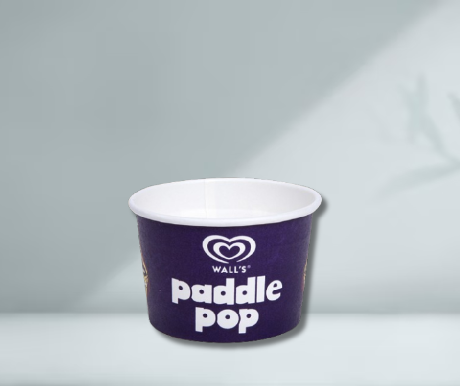 80ml Ice Cream Cup